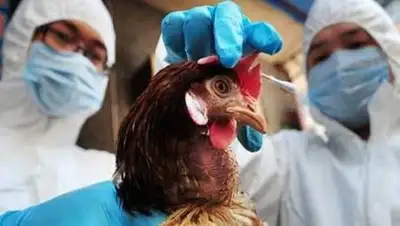 platon.asia, фото - Новости Zakon.kz от 27.02.2021 02:01