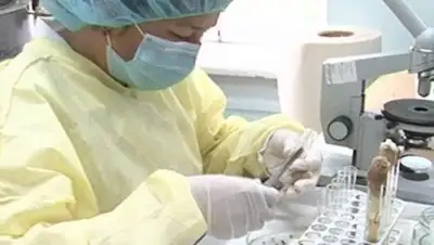 Zakon.kz, фото - Новости Zakon.kz от 27.06.2017 23:38