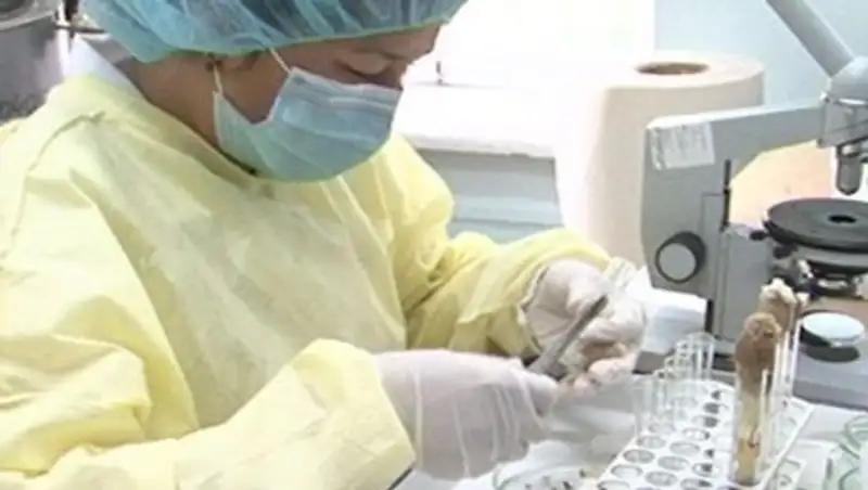 ОҚО-да қырым қанды безгегінен екі адам қайтыс болды 