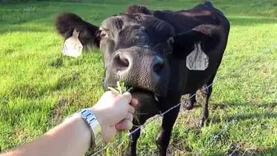 Знай ферму, фото - Новости Zakon.kz от 21.08.2018 23:00