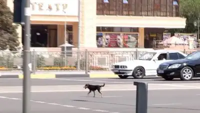 скриншот, фото - Новости Zakon.kz от 20.06.2018 07:18