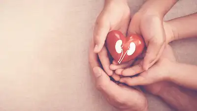 24tv.ua, фото - Новости Zakon.kz от 14.02.2020 12:52