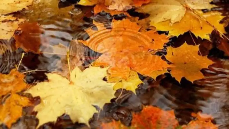 Синоптики рассказали о погоде в РК в ближайшие дни