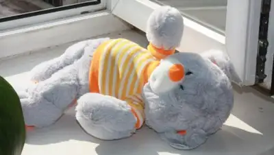 Zakon.kz, фото - Новости Zakon.kz от 08.01.2017 19:29