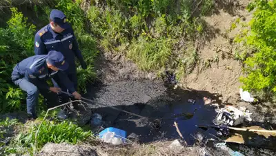 yk.kz, фото - Новости Zakon.kz от 28.05.2020 18:18