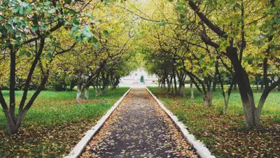 myudm.ru, фото - Новости Zakon.kz от 14.09.2020 06:00