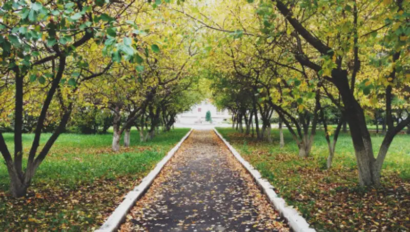 В Казахстан пришло бабье лето