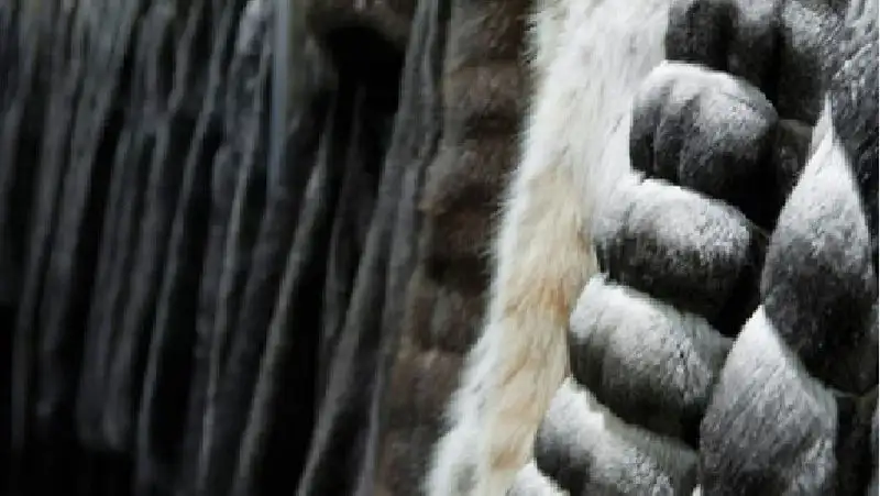 Сколько будет стоить маркировка меховых изделий