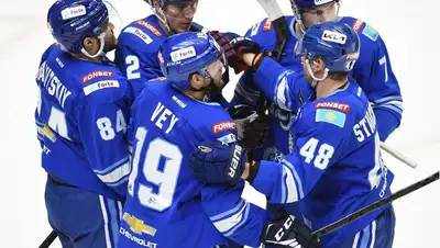 Хоккей Список команд на сезон, фото - Новости Zakon.kz от 05.04.2022 16:40