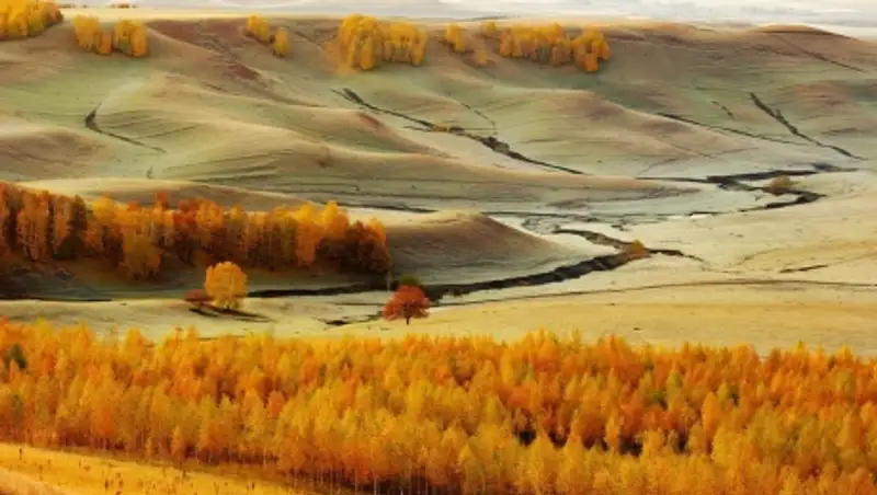 20 лучших снимков National Geographic за год