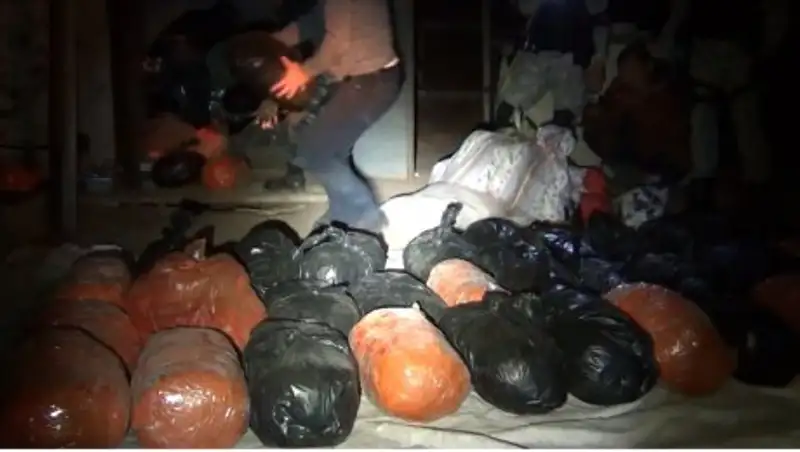 Баулы с марихуаной на 30 млн тенге изъяли в Павлодарской области