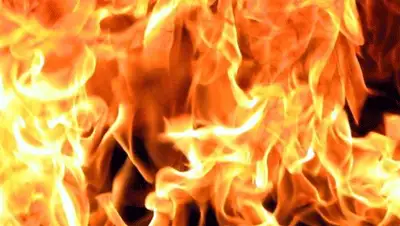 Zakon.kz, фото - Новости Zakon.kz от 17.11.2013 17:00