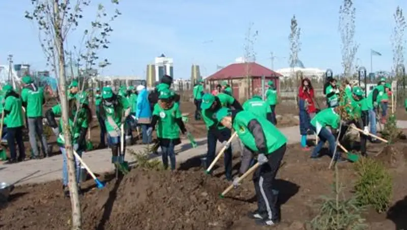 В Астане появилась аллея тянь-шанских елей
