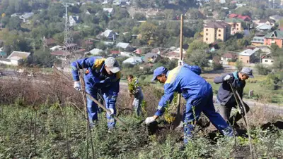 пресс-служба акима Алматы, фото - Новости Zakon.kz от 13.10.2019 15:10