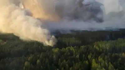 inosmi, фото - Новости Zakon.kz от 05.05.2020 12:18