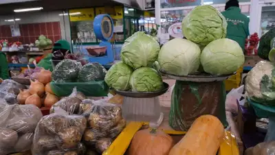 картофель, капуста, огурцы, фото - Новости Zakon.kz от 26.04.2022 10:55