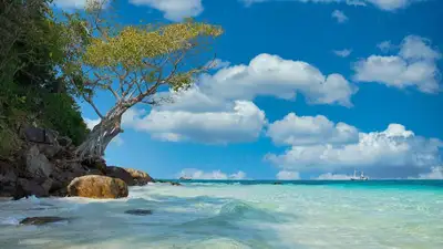 Авария с катером в Таиланде: две казахстанки находятся в больнице, фото - Новости Zakon.kz от 18.05.2023 13:46