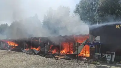 ВКО, трасса, пожар, ликвидация, фото - Новости Zakon.kz от 23.06.2022 17:22