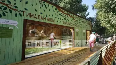 Zakon.kz, фото - Новости Zakon.kz от 31.07.2017 17:09