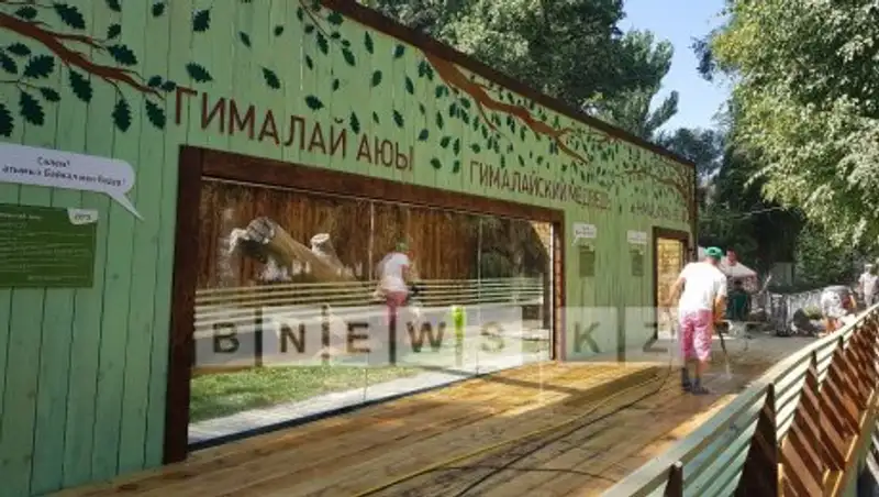 В зоопарке Алматы гималайские медведи «отметили» новоселье