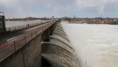 Zakon.kz, фото - Новости Zakon.kz от 28.02.2017 17:38