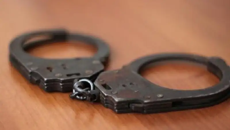 Угонщик КамАЗов из Северного Казахстана задержан в Москве