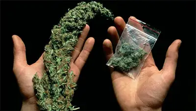 Zakon.kz, фото - Новости Zakon.kz от 14.11.2013 21:32