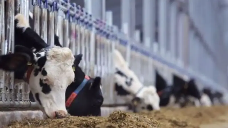 В ЮКО для кооперативов выделят средства на безвозвратной основе