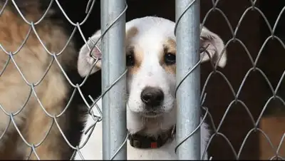 Zakon.kz, фото - Новости Zakon.kz от 14.07.2017 22:27