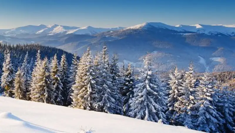 ДЧС Алматы предупредил о возможных лавинах в горах