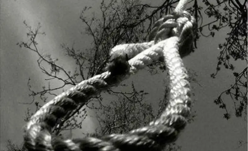 В Усть-Каменогорске больная шизофренией школьница повесилась на дереве, фото - Новости Zakon.kz от 13.11.2013 16:31