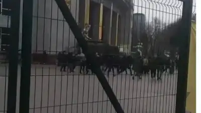 кадр видео instagram, фото - Новости Zakon.kz от 04.03.2019 11:32