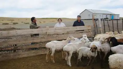 primeminister.kz, фото - Новости Zakon.kz от 21.10.2021 16:18