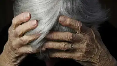 Zakon.kz, фото - Новости Zakon.kz от 29.05.2017 23:14