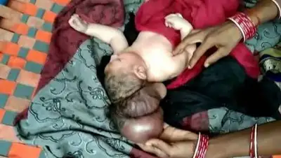 24kz, фото - Новости Zakon.kz от 18.07.2021 07:20