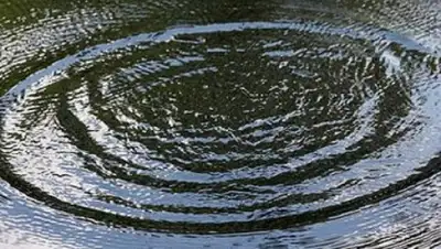 Zakon.kz, фото - Новости Zakon.kz от 03.06.2015 06:58