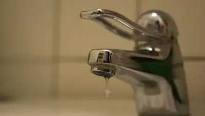 pxhere.com, фото - Новости Zakon.kz от 21.10.2019 17:16