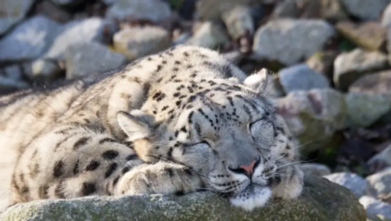 Как отдохнут казахстанцы в 2020 году