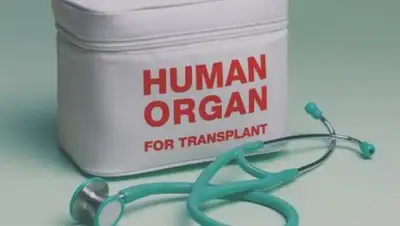 toptopov.info, фото - Новости Zakon.kz от 16.03.2018 15:49