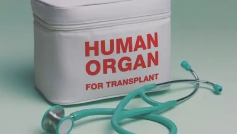 В водительских правах россиян может появиться согласие на посмертное донорство