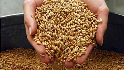 Zakon.kz, фото - Новости Zakon.kz от 29.09.2014 19:13