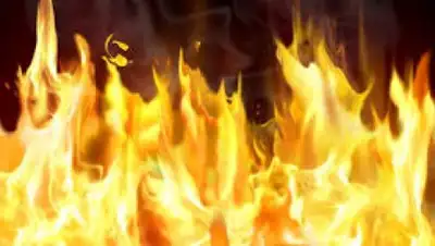 Zakon.kz, фото - Новости Zakon.kz от 08.09.2017 07:45