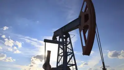 inform.kz, фото - Новости Zakon.kz от 19.07.2018 08:38