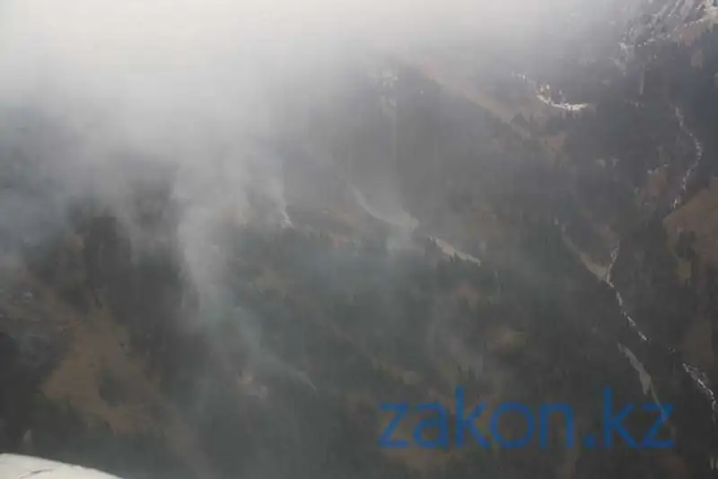 Огонь в Иле-Алатауском парке ликвидирован, фото - Новости Zakon.kz от 22.10.2013 19:40
