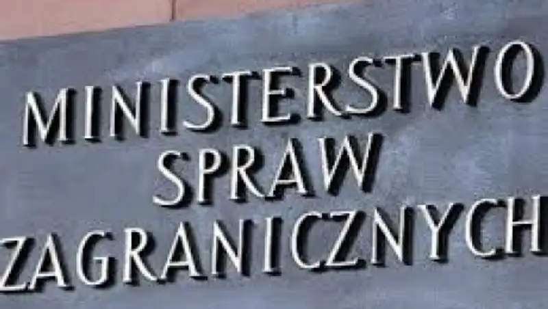 МИД Польши извинился за нацистский жест депутата
