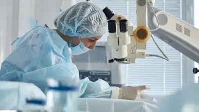 amur.info, фото - Новости Zakon.kz от 22.04.2020 09:38