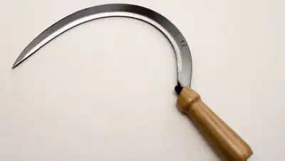 Zakon.kz, фото - Новости Zakon.kz от 28.01.2017 13:17