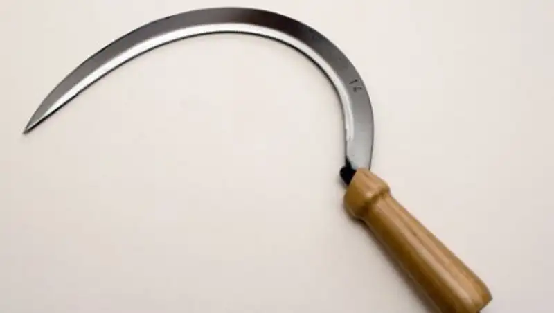 В Индии девушка серпом отрезала пенис своему ухажеру