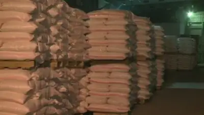 Zakon.kz, фото - Новости Zakon.kz от 31.10.2017 22:13