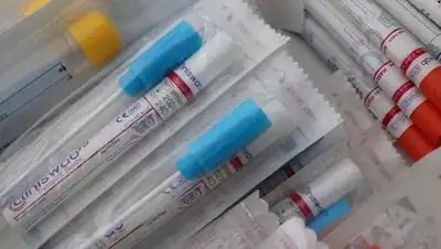 Pixabay, фото - Новости Zakon.kz от 19.09.2020 08:17